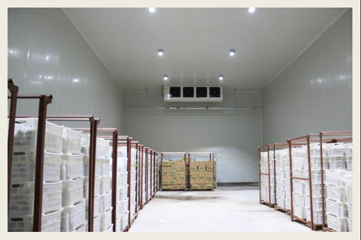 ป้องกันการกัดกร่อนห้องเย็นเก็บผักช่วงอุณหภูมิกว้างเสริม