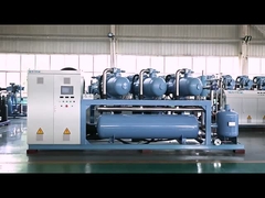 อุปกรณ์อัดอากาศแรงดันสกรูที่ประกอบกันที่มีประสิทธิภาพสูง ขายตามความต้องการสําหรับหน่วยหมุนเย็น